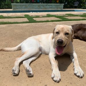 Meet your Posher, Sean